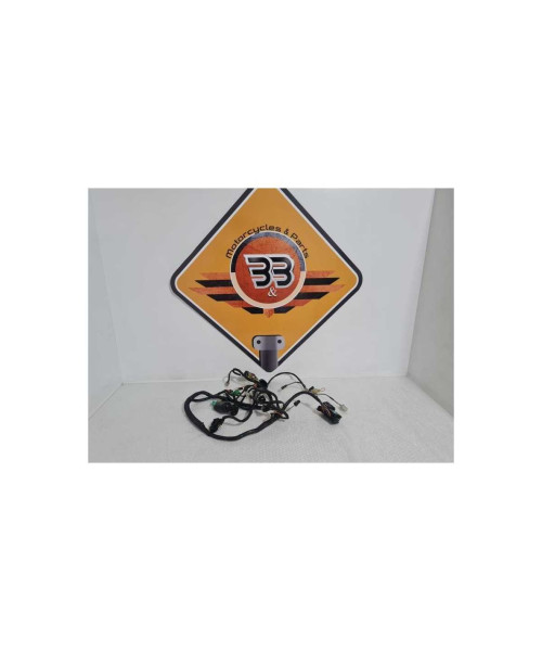 Instalatie Electrica Suzuki GSXF 750 - KATANA - 2003