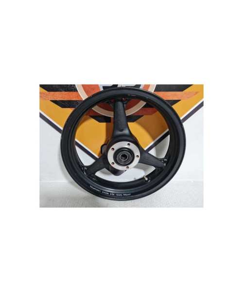 Janta Fata Kawasaki Ninja 636 - 2004