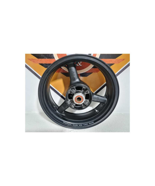 Janta Spate Kawasaki Ninja 636 - 2004