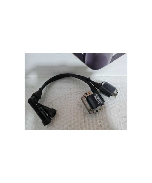 Bobine Inductie Cu Fise BMW F 650 1994