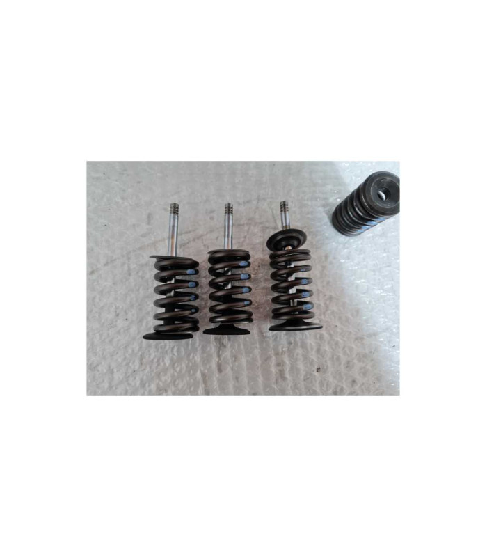 Supape Si Arcuri BMW F 650 1994