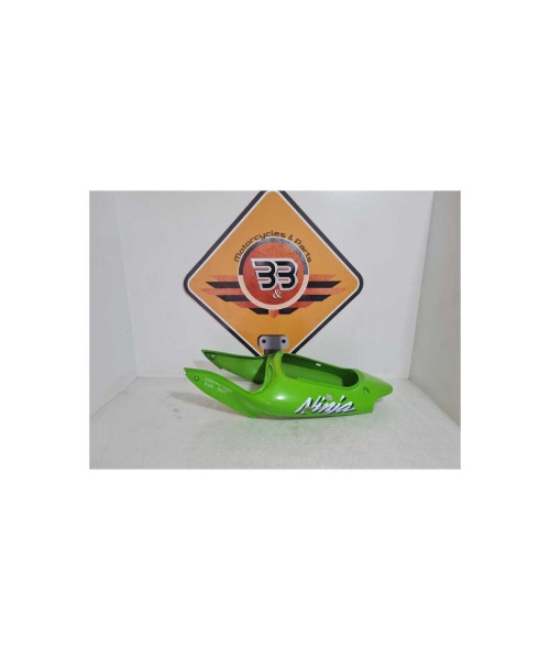 Carena Codita Kawasaki Ninja ZX6R 2001