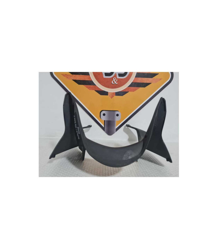 Carena Bord Suzuki GS 500F 2006