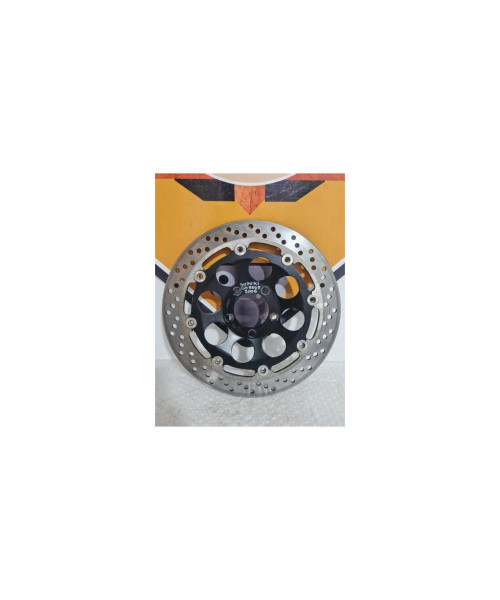 Disc Frana Fata Suzuki GS 500F 2006