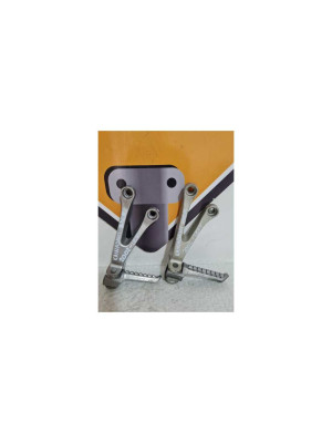 Ansamblu Scarita Stanga Pasager Kawasaki Ninja ZX6R 2002 2