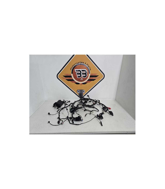 Instalatie Electrica Bmw G 310 GS 0G31 40 Years 2021