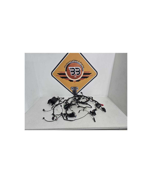 Instalatie Electrica Bmw G 310 GS 0G31 40 Years 2021