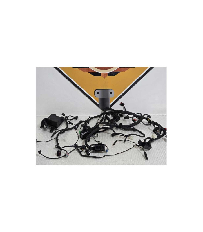 Instalatie Electrica Bmw G 310 GS 0G31 40 Years 2021