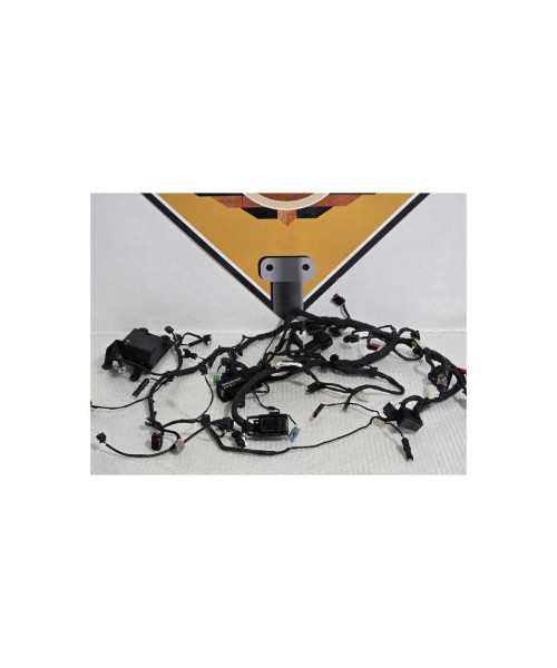 Instalatie Electrica Bmw G 310 GS 0G31 40 Years 2021