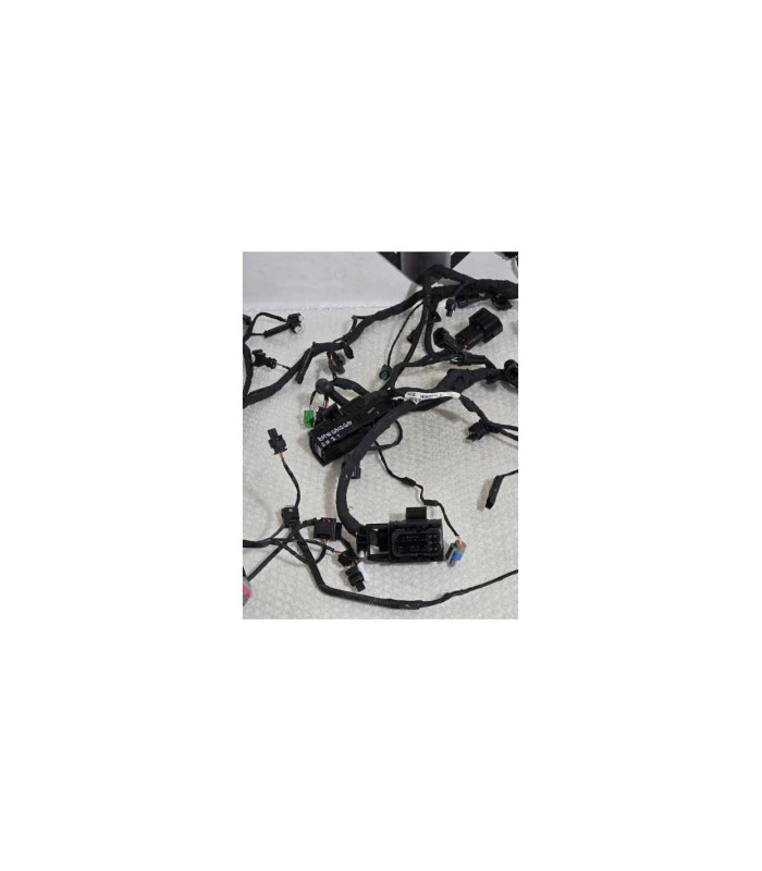 Instalatie Electrica Bmw G 310 GS 0G31 40 Years 2021