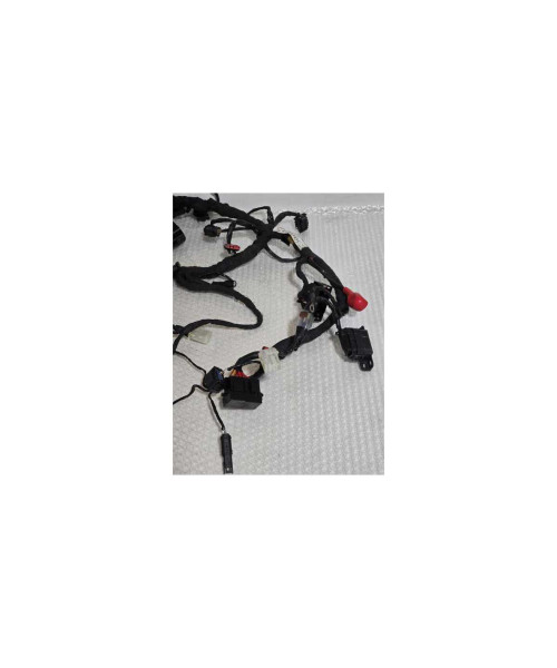 Instalatie Electrica Bmw G 310 GS 0G31 40 Years 2021