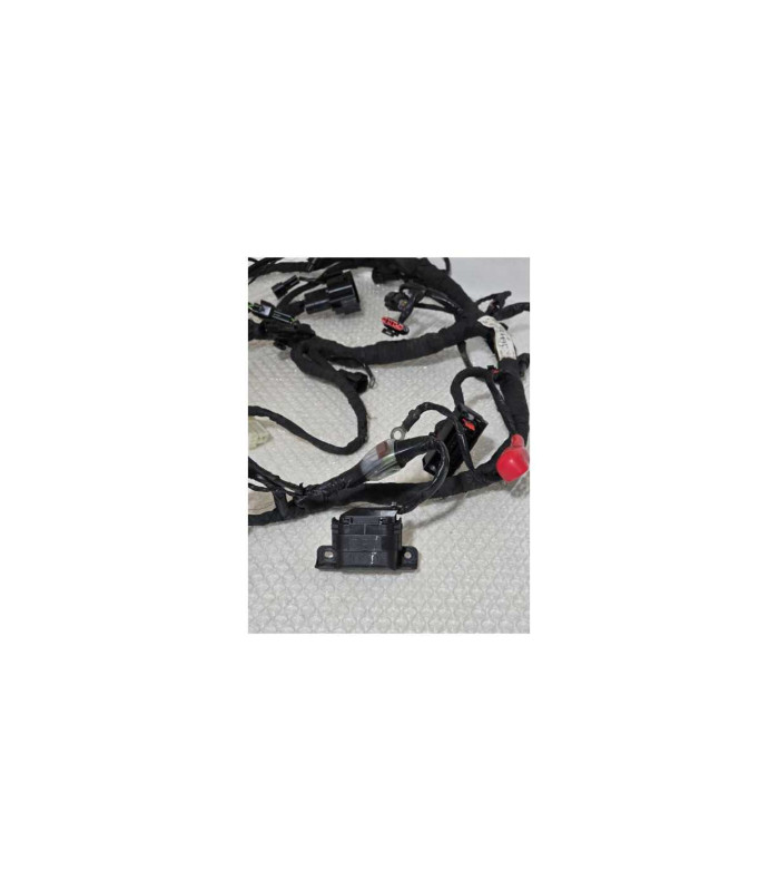 Instalatie Electrica Bmw G 310 GS 0G31 40 Years 2021