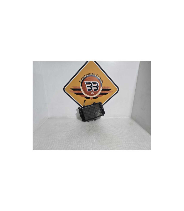 Radiator Complet Bmw G 310 GS 0G31 40 Years 2021