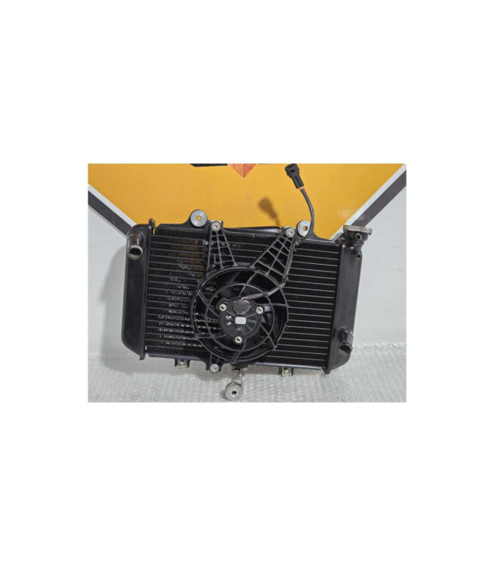 Radiator Complet Bmw G 310 GS 0G31 40 Years 2021