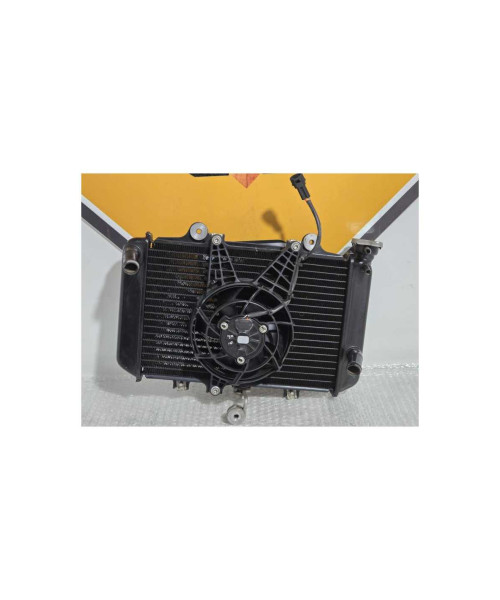 Radiator Complet Bmw G 310 GS 0G31 40 Years 2021