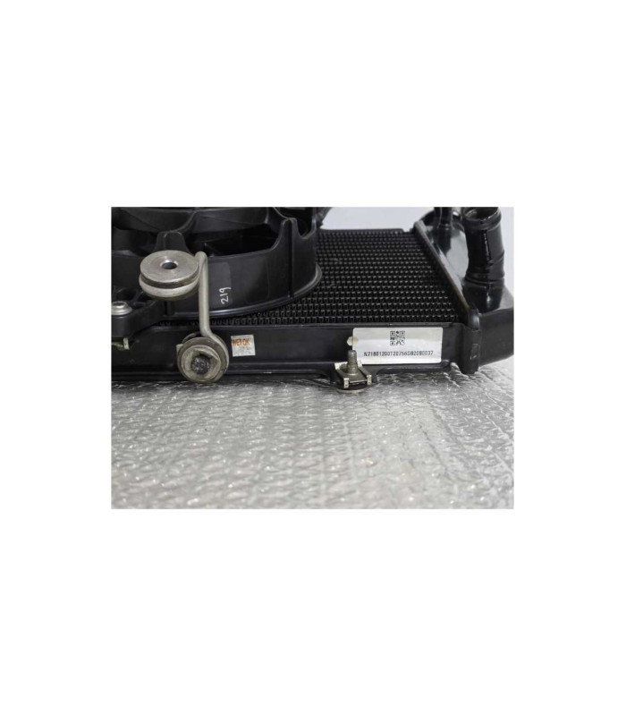 Radiator Complet Bmw G 310 GS 0G31 40 Years 2021