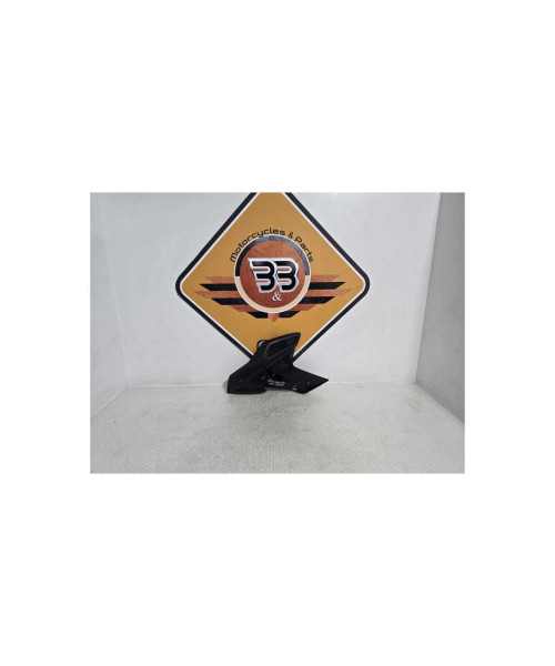 Semicarena Dreapta Admisie Aer Bmw G 310 GS 0G31 40 Years 2021