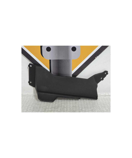 Semicarena Interioara Radiator Bmw G 310 GS 0G31 40 Years 2021