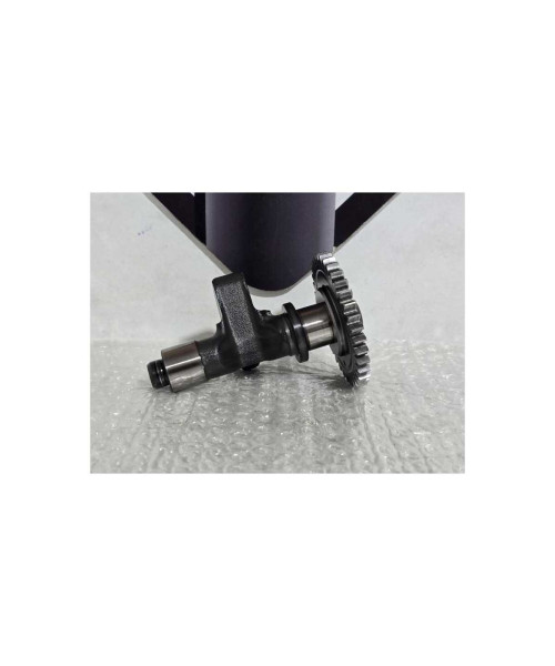 Arbore Compensare Contragreutate Bmw G 310 GS 0G31 40 Years 2021