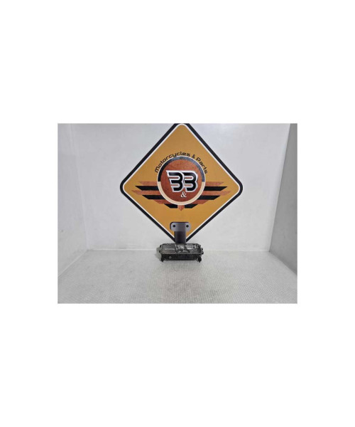 Baie Ulei Bmw G 310 GS 0G31 40 Years 2021