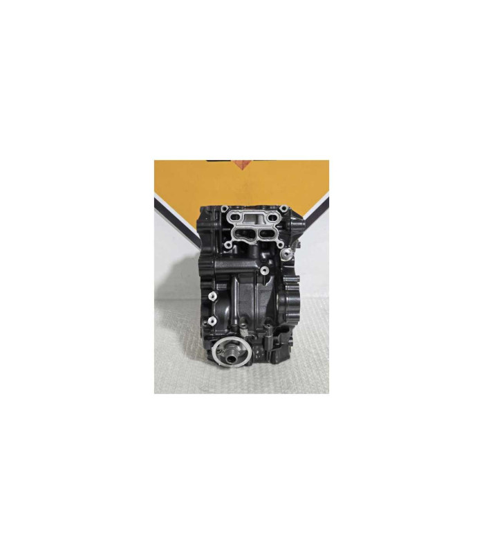 Cartere Motor Si Cilindru Bmw G 310 GS 0G31 40 Years 2021