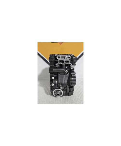 Cartere Motor Si Cilindru Bmw G 310 GS 0G31 40 Years 2021