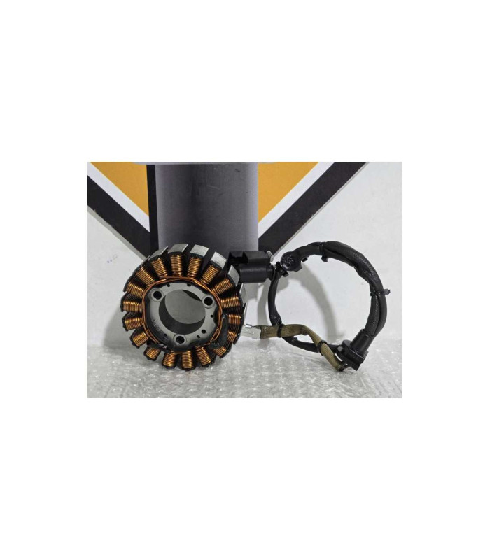 Stator Bmw G 310 GS 0G31 40 Years 2021
