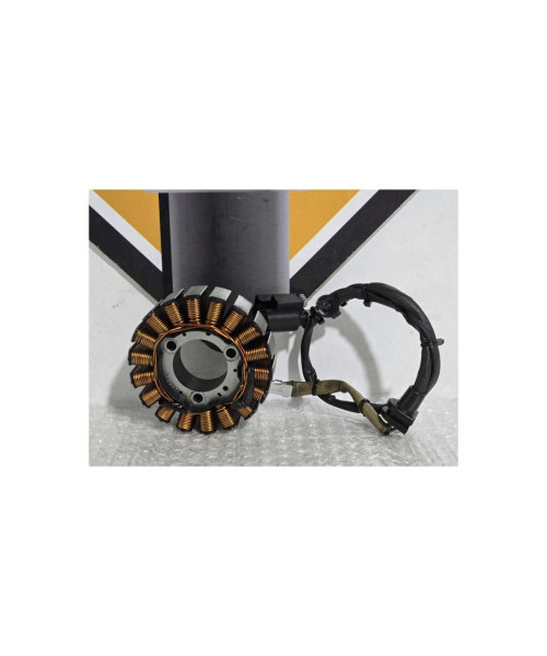 Stator Bmw G 310 GS 0G31 40 Years 2021
