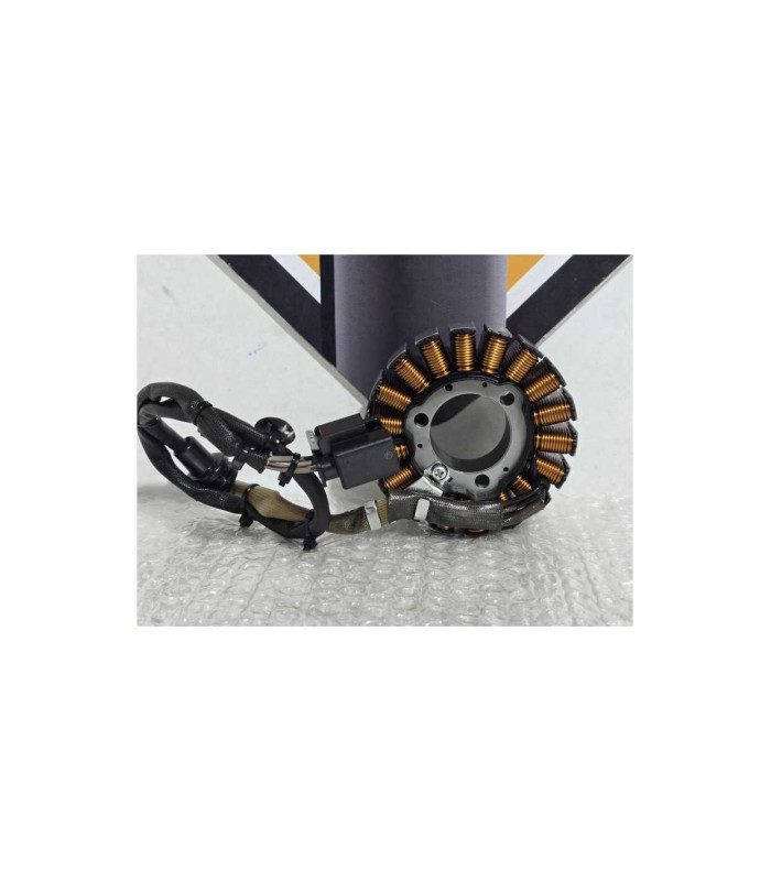 Stator Bmw G 310 GS 0G31 40 Years 2021