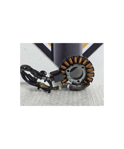 Stator Bmw G 310 GS 0G31 40 Years 2021