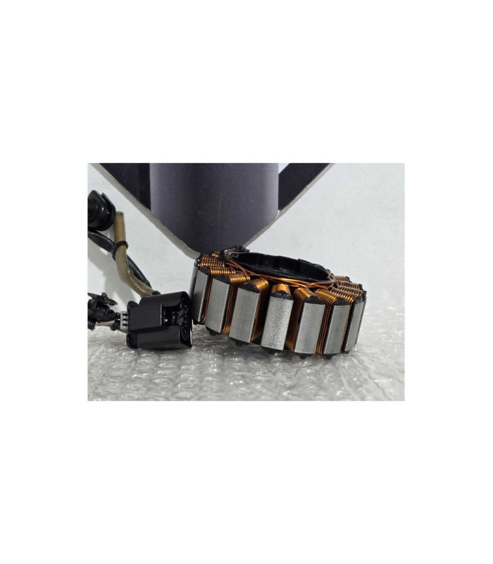 Stator Bmw G 310 GS 0G31 40 Years 2021