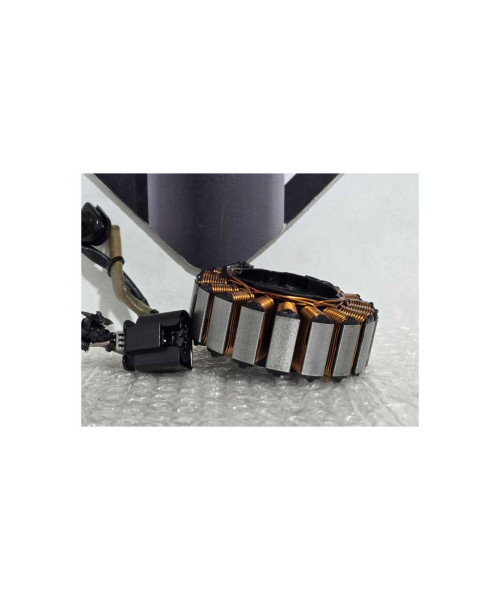 Stator Bmw G 310 GS 0G31 40 Years 2021