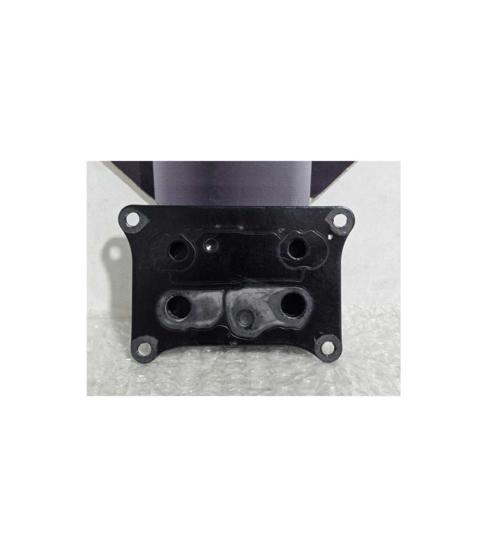 Termoflot Bmw G 310 GS 0G31 40 Years 2021