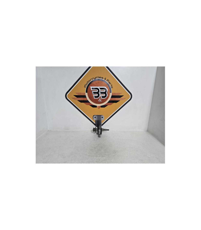 Vibrochen Cu Biela Bmw G 310 GS 0G31 40 Years 2021