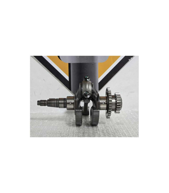 Vibrochen Cu Biela Bmw G 310 GS 0G31 40 Years 2021