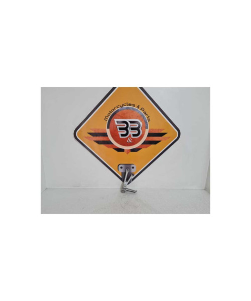 Ansamblu Scarita Stanga Pasager Kawasaki Ninja ZX6R 1999