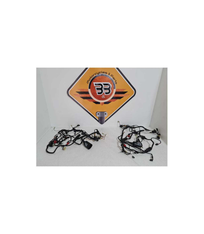 Instalatie Electrica Kawasaki Ninja ZX6R 1999