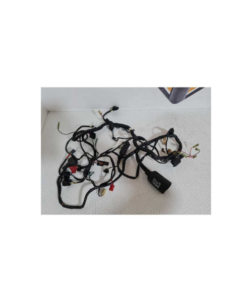 Instalatie Electrica Kawasaki Ninja ZX6R 1999