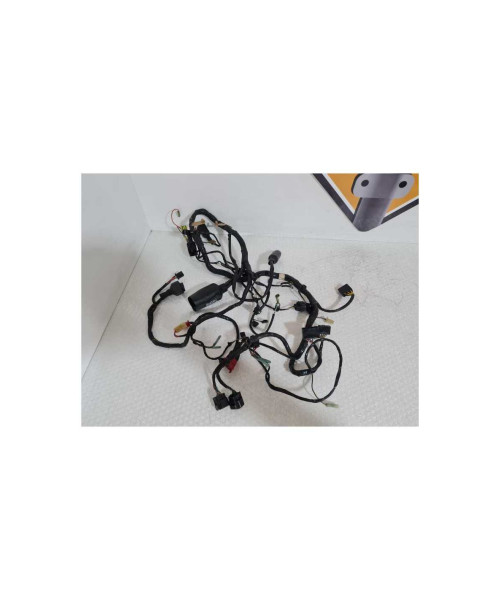 Instalatie Electrica Kawasaki Ninja ZX6R 1999