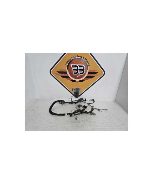 Instalatie Electrica Kawasaki Vulcan VN 700A 1984