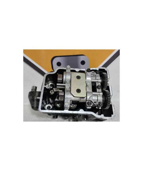 Chiuloasa Fata Kawasaki Vulcan VN 700A 1984