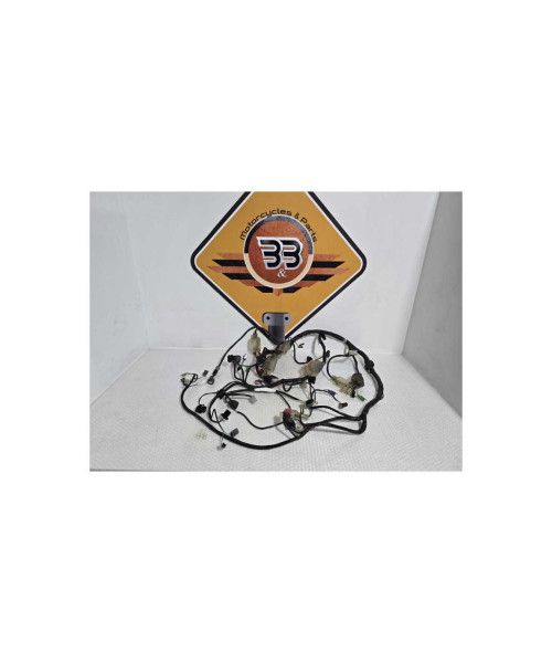 Instalatie Electrica Honda Vfr 800 RC46A 2007