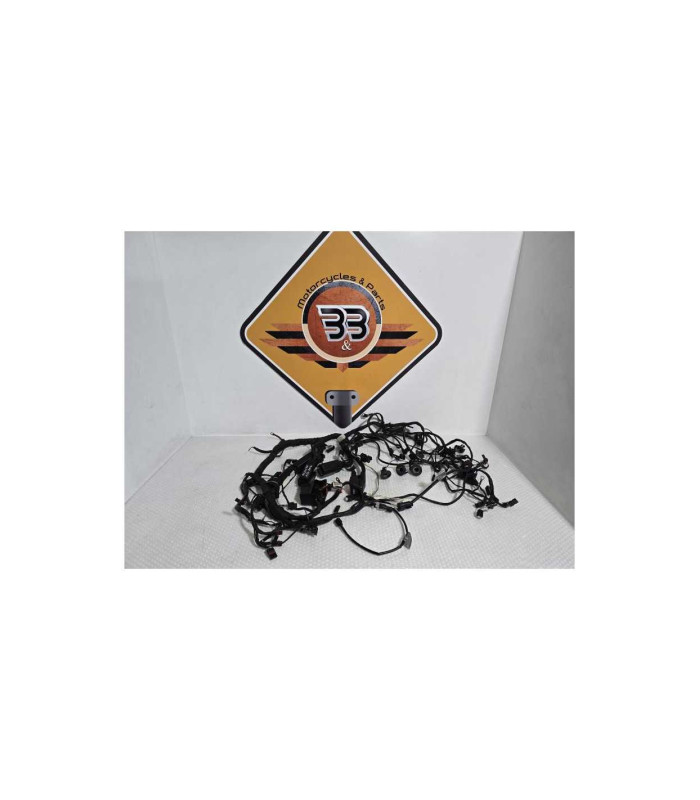 Instalatie Electrica BMW R1200RT K26 2012