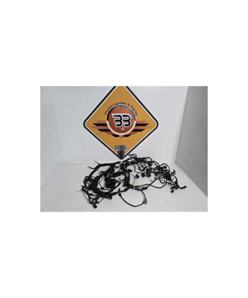 Instalatie Electrica BMW R1200RT K26 2012