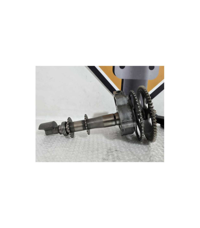 Pompa Ulei Si Arbore Compensare BMW R1200RT K26 2012