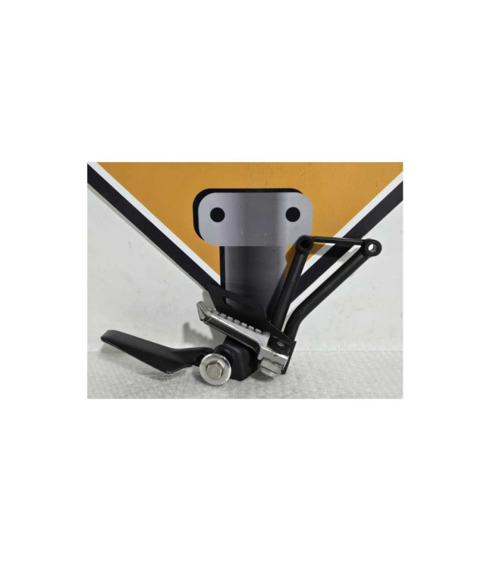 Ansamblu Scarita Dreapta Pasager Kawasaki Ninja 125 BX125A 2019