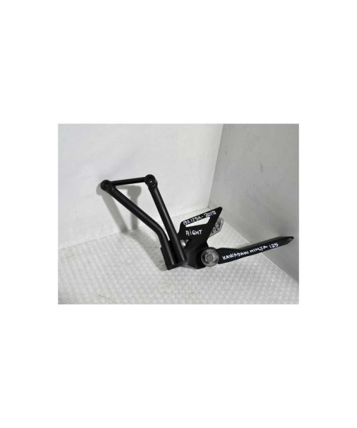 Ansamblu Scarita Dreapta Pasager Kawasaki Ninja 125 BX125A 2019