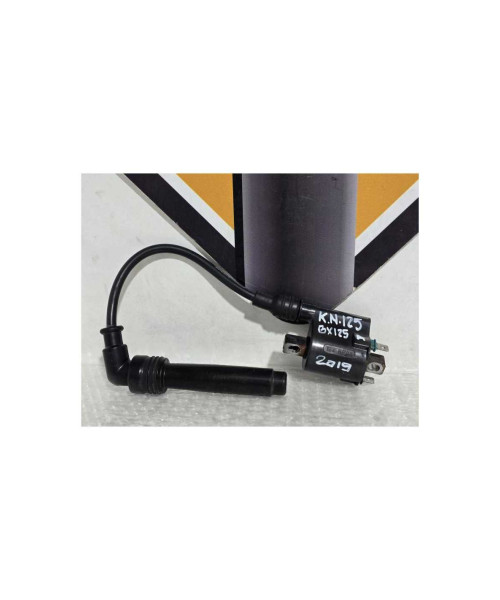 Bobina Inductie Cu Fisa Kawasaki Ninja 125 BX125A 2019