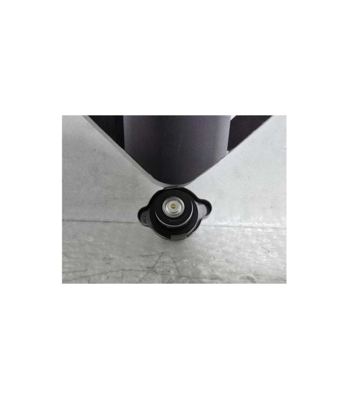 Buson Radiator Kawasaki Ninja 125 BX125A 2019