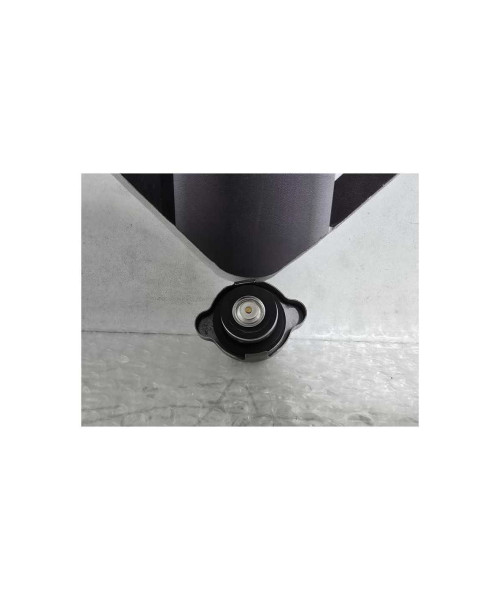 Buson Radiator Kawasaki Ninja 125 BX125A 2019